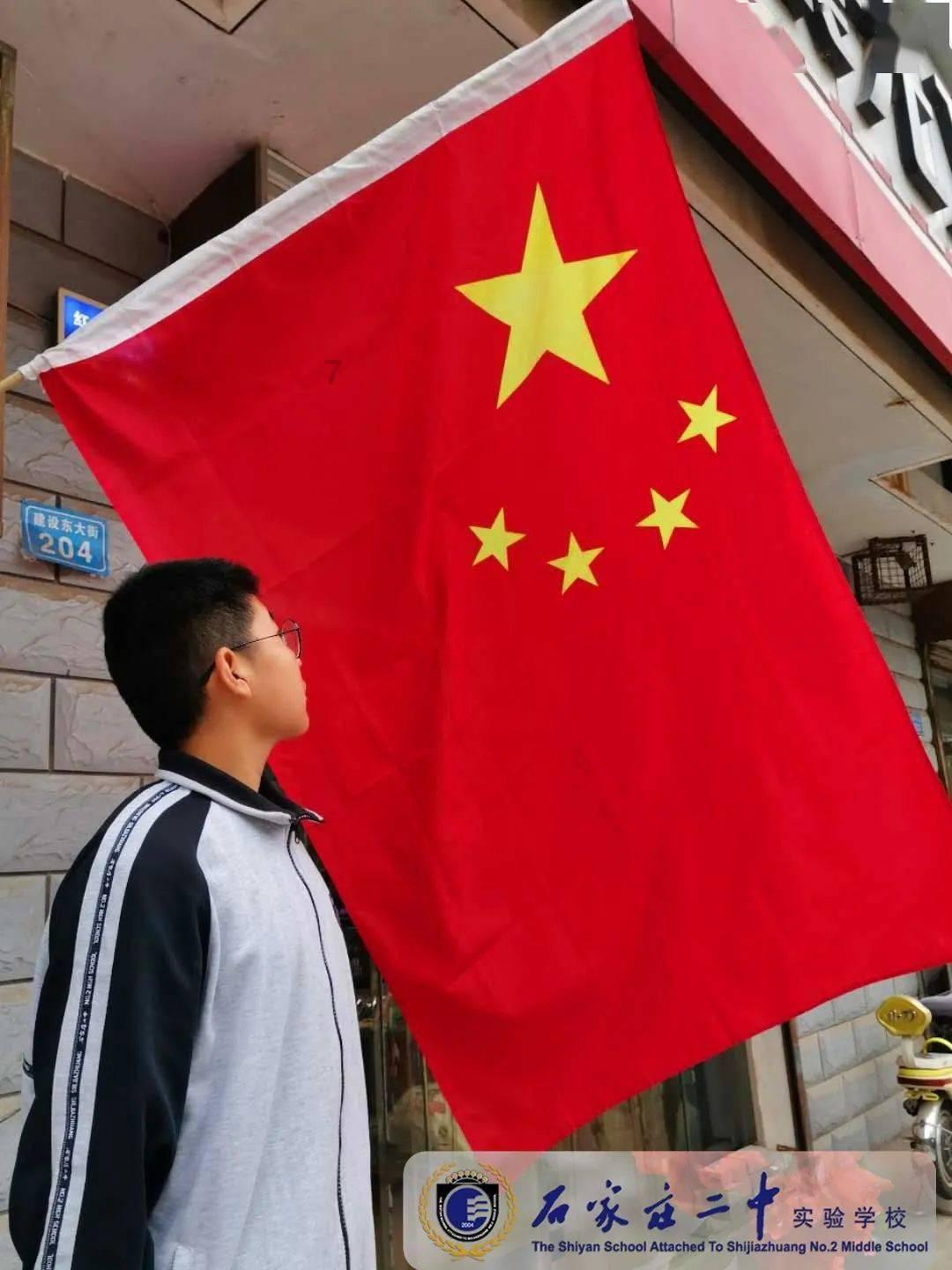 寻找萌宠松鼠