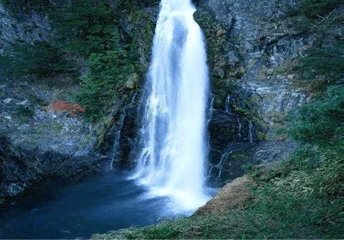 重庆矿山复绿喷播植草挂网绿化施工草籽选择方法